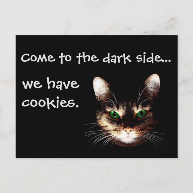Carte Postale Chats Badass - "Dark Side has Cookies" (Devant)