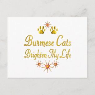 Carte Postale Chats birmans Éclairer Ma Vie