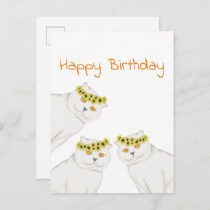 Carte Postale Chats blancs Joyeux anniversaire
