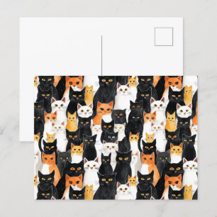 Carte Postale Chats blancs oranges noirs