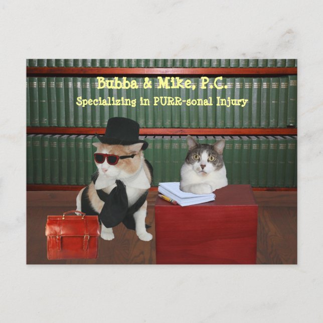 Carte Postale Chats Blessés PURR-Sonal (Devant)