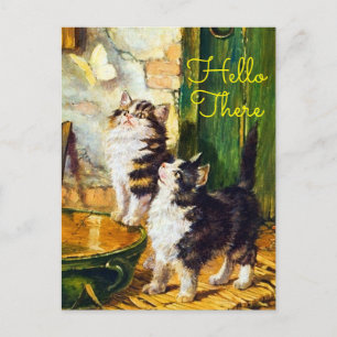 Carte Postale Chats Curieux Vintage Papillon Bonjour`
