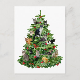 Carte Postale Chats dans l'arbre