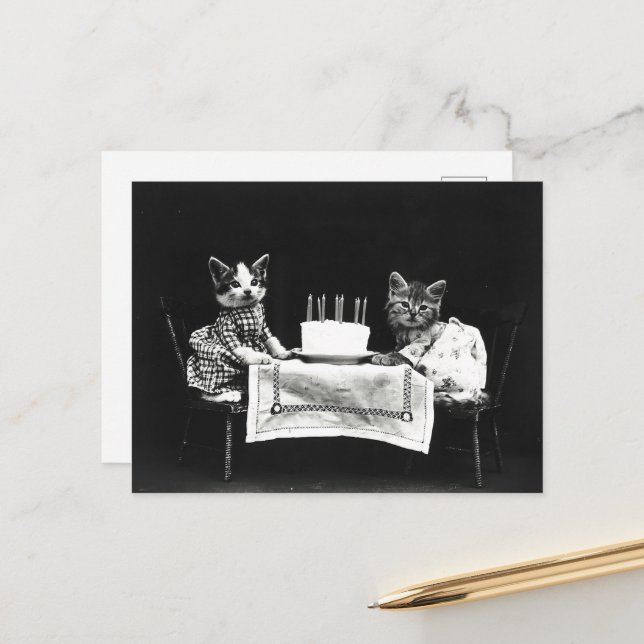 Carte Postale Chats de gâteau d'anniversaire (Devant/Arrière en situation)