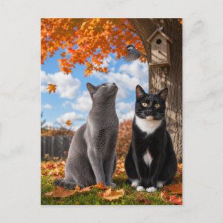 Carte Postale Chats de la saison automnale assis sous un arbre à