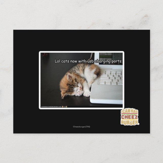Carte Postale Chats de Lol avec USB (Devant)
