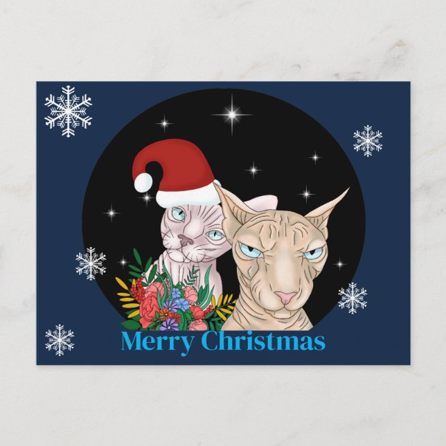 Carte Postale Chats de Noël sous le ciel étoilé (Devant)