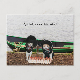 Carte Postale Chats de pirates amusants