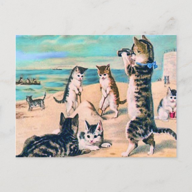 Carte Postale Chats de plage (Devant)