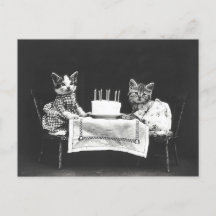 Chats de vintage à une fête d'anniversaire