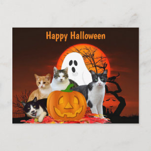 Carte Postale Chats d'Halloween dans un cimetière avec fantôme /