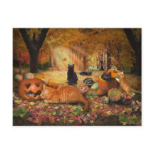 Chats en automne