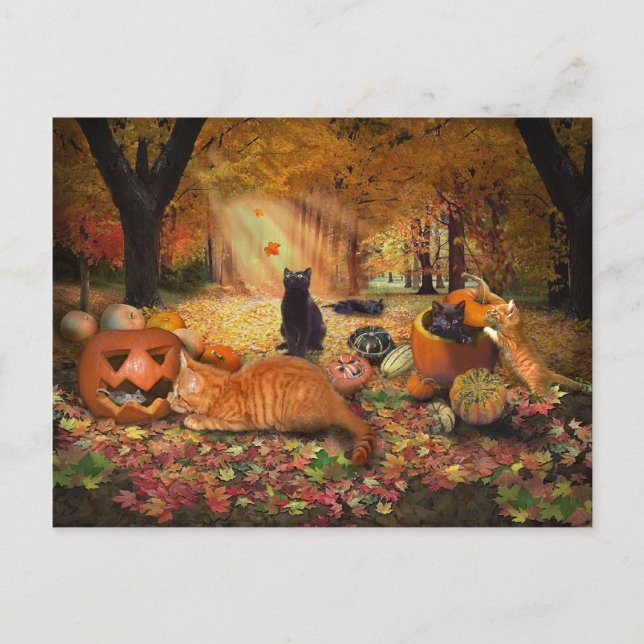 Carte Postale Chats en automne (Devant)