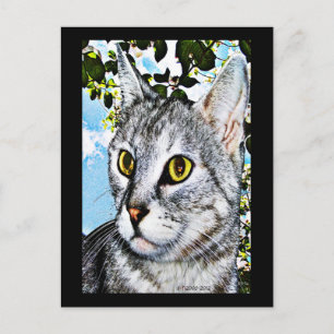 Carte Postale Chats et nature Art numérique "en pleine floraison