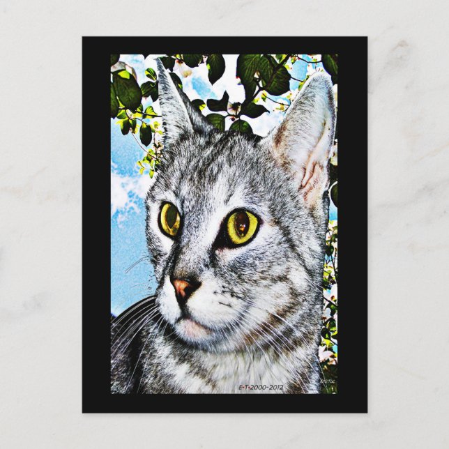 Carte Postale Chats et nature Art numérique "en pleine floraison (Devant)