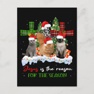 Carte Postale Chats Jésus Est La Raison De La Saison Noël Vilain