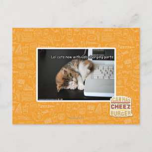 Carte Postale Chats Lol avec USB