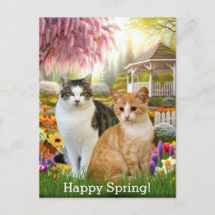 Carte Postale Chats mignons assis dans le jardin