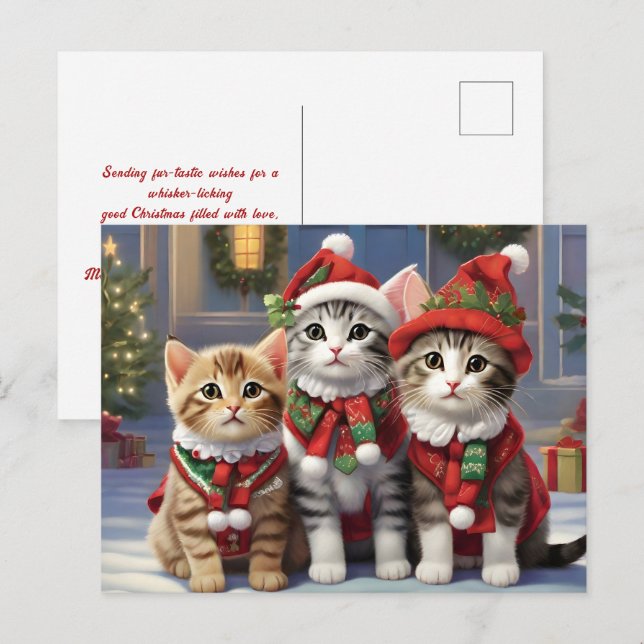 Carte Postale Chats mignons avec chapeaux de Père Noël (Devant / Derrière)
