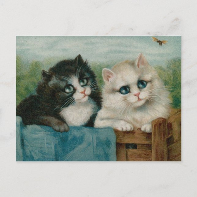 Carte Postale Chats mignons sur la clôture (Devant)