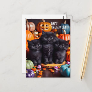 Carte Postale Chats noirs d'Halloween avec citrouilles et bonbon