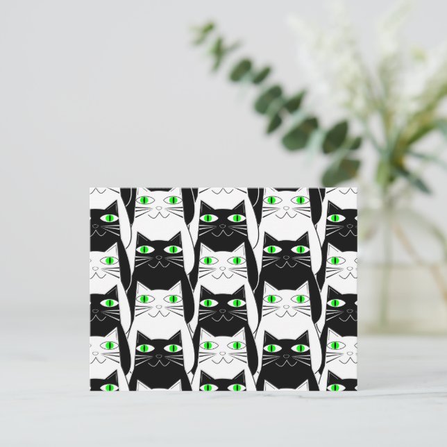 Carte Postale Chats noirs et blancs (Debout devant)