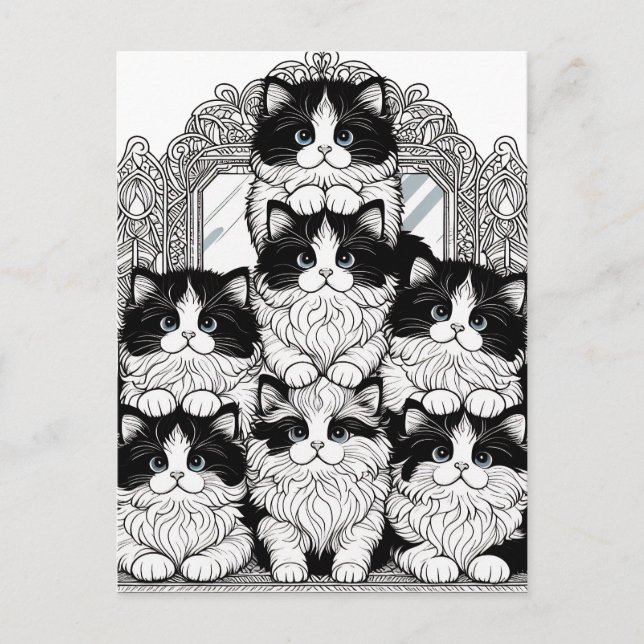 Carte Postale Chats noirs et blancs (Devant)
