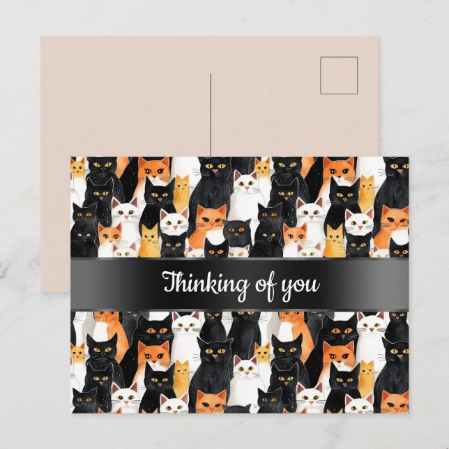 Carte Postale Chats Orange Noir Blanc Penser à vous (Devant / Derrière)