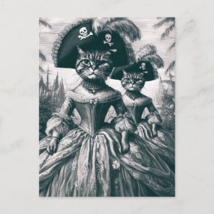 Carte Postale Chats Pirate Cute