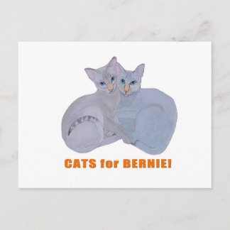 Carte Postale Chats pour Bernie !