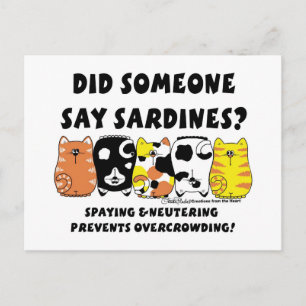 Carte Postale Chats Sardine