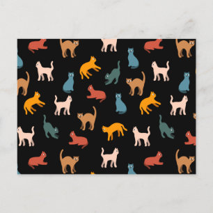 Carte Postale Chats sur le noir