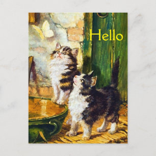 Carte Postale Chats victoriens papillon Chats curieux vintage