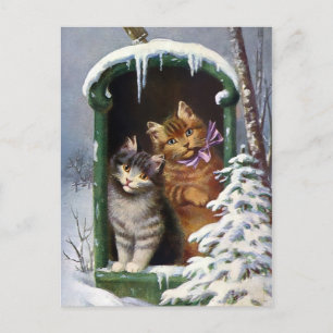Carte Postale Chats vintages