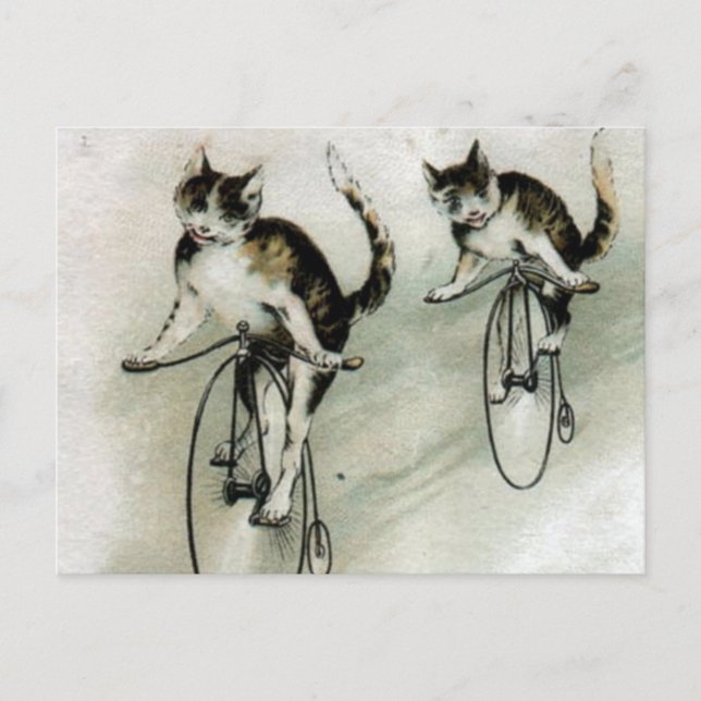 Carte Postale Chats vintages sur des vélos (Devant)
