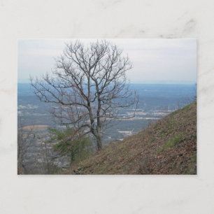 Carte Postale Chattanooga, Tennessee 001
