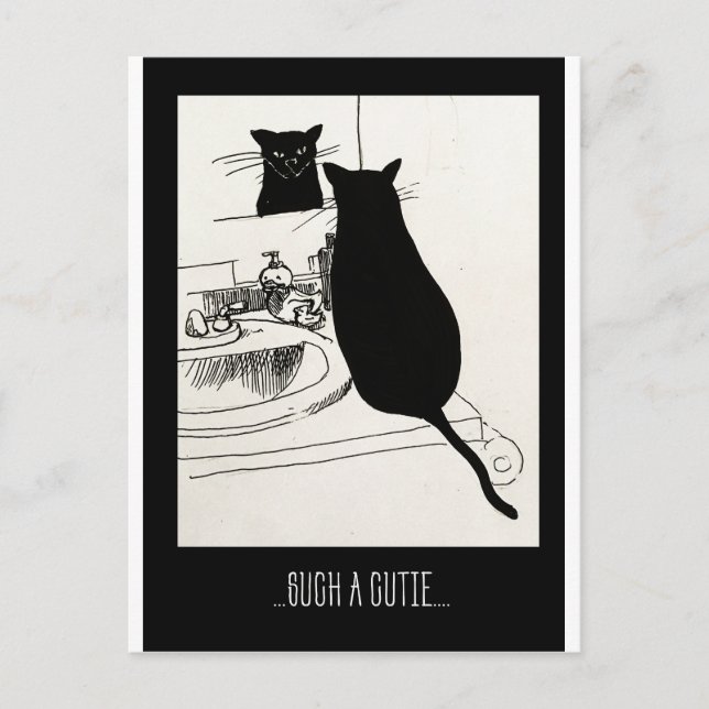 Carte Postale chatte (Devant)