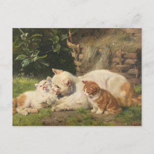 Carte Postale Chatte avec chatons   Julius Adam le Jeune