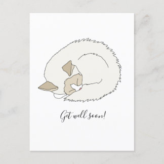 Carte Postale Chatte Dormir Se Bien Bientôt