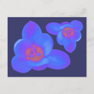 Carte postale chaude et froide Crocus Flowers