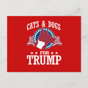 CARTE POSTALE CHAUSSURES ET CHIENS POUR TRUMP