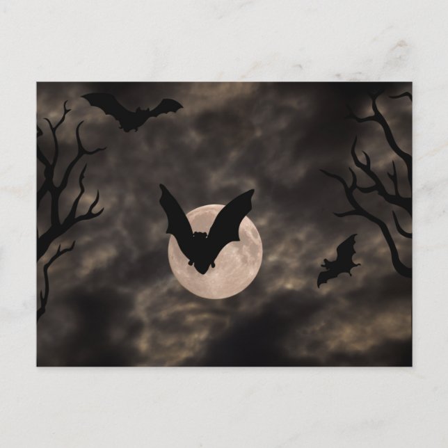 Carte Postale Chauves-souris Nuit Épouvantable Halloween (Devant)