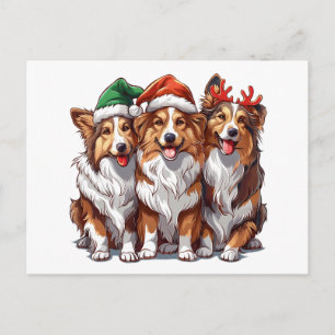 Carte Postale Cheepdogs de Noël Shetland