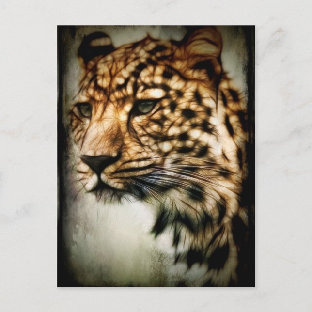 Carte Postale Cheetah (Devant)