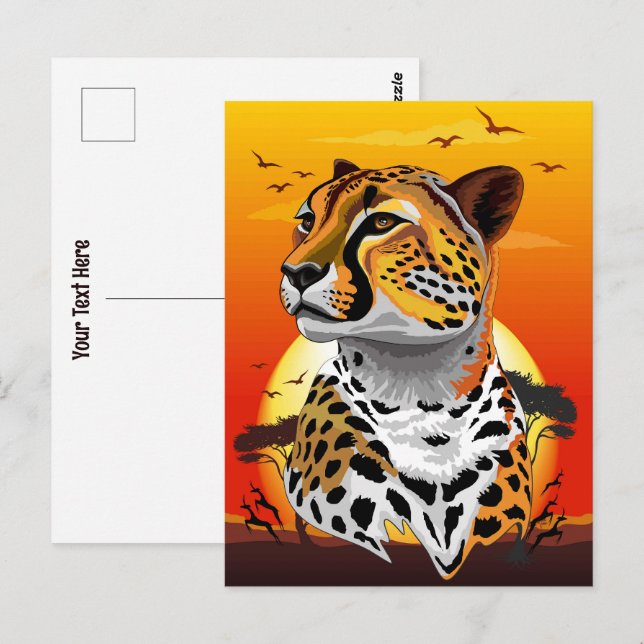 Carte Postale Cheetah African Feline Wild Animal (Devant / Derrière)