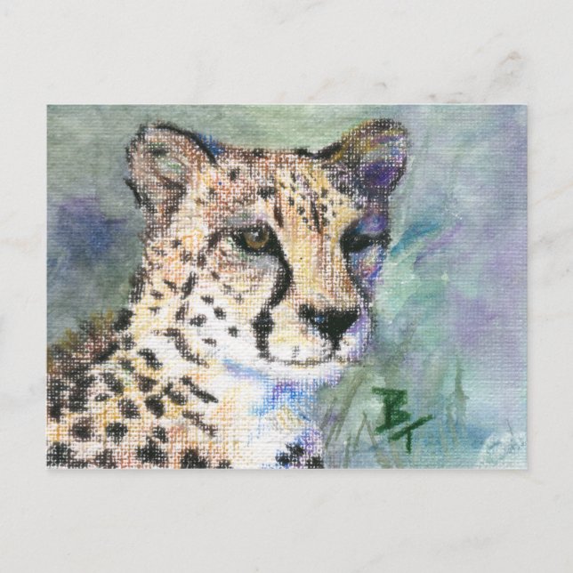 Carte Postale Cheetah Portrait aceo (Devant)