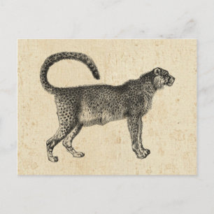 Carte Postale Cheetah vintage