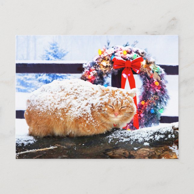 Carte Postale "Cheeto de Noël"  (Devant)