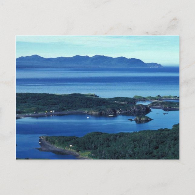 Carte Postale Chef Cove Kodiak (Devant)