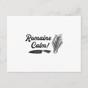 Carte Postale Chef Cuisine Cuisine Romaine Calme Drôle Cadeau